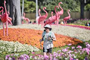 BIB: 
                            <button type="button" onclick="openModal(27793555)" class="btn btn-primary btn-sm float-right btn-popup" data-toggle="modal" data-target=".modal-high-quality">
                        <i class="fas fa-shopping-cart"></i> Add to Cart
                    </button>
                                            <button type="button" onclick="isThisMe(27793555, true)" class="btn btn-success btn-sm float-right btn-popup btn-isme hidden" data-toggle="tooltip" data-placement="bottom" title="นี่คือรูปของคุณใช่ไหม คลิกที่นี่เพื่อเอาเข้าอัลบั้ม">
                        <i class="fas fa-plus"></i> Add to album
                    </button>
                    <button type="button" onclick="isThisMe(27793555, false)" class="btn btn-warning btn-sm float-right btn-popup btn-isnotme hidden">
                        <i class="fas fa-ban"></i> Remove from album
                    </button>